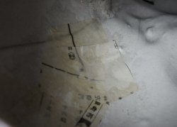 Lucky money box 1900