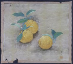 Manzou lemons 1900