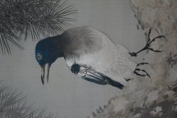 Matsu bird 1930