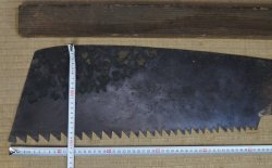 Meabiki Nokogiri1900