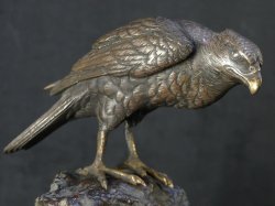 Meiji bronze Tomby hawk 1880