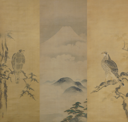 Michinobu falcons 1760