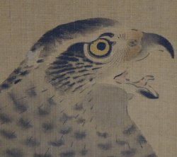 Michinobu falcons 1760