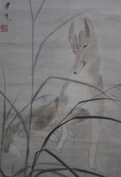 Midnight Fox 1850