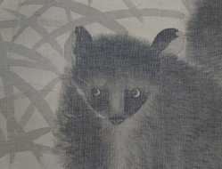 Midnight Tanuki 1930