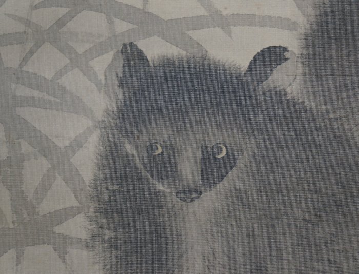 Midnight Tanuki 1930