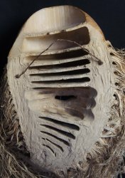Mingei Mask bamboo 1970