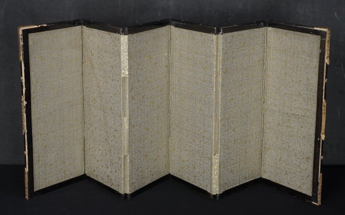 Miniature screen 1900