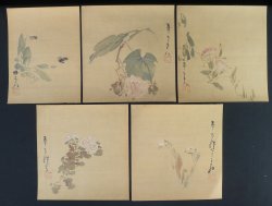 Miniature wild flowers 1880