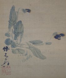 Miniature wild flowers 1880