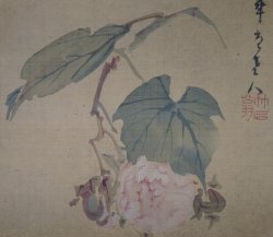 Miniature wild flowers 1880