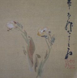 Miniature wild flowers 1880