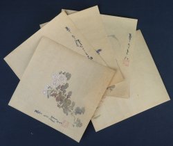 Miniature wild flowers 1880