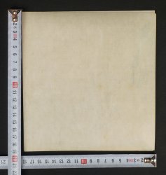 Miniature wild flowers 1880