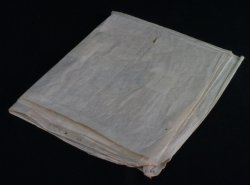 Miniature wild flowers 1880