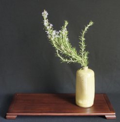 Minimalist bonsai 1970