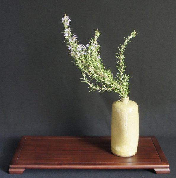 Minimalist bonsai 1970