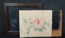 Minimalist floral 1900
