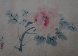 Minimalist floral 1900