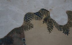 Minimalist Matsu 1880