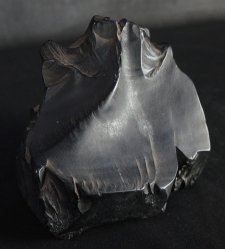 Minimalist Suiteki 1900