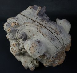 Miya-Daiku Shishi 1700