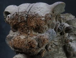 Miya-Daiku Shishi 1700