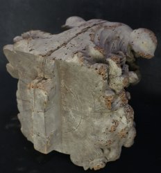 Miya-Daiku Shishi 1700