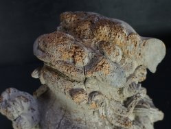 Miya-Daiku Shishi 1700