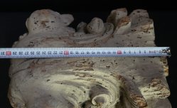 Miya-Daiku Shishi 1700