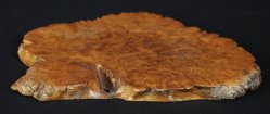 Moku-stand 1950