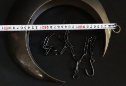 Moon vase 1980 Ikebana