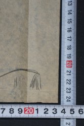 Morikawa Seiha 1915 D