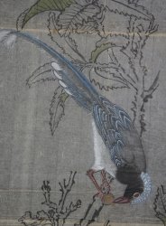 Mountain birds 1800