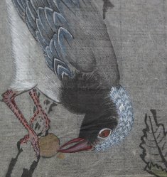Mountain birds 1800