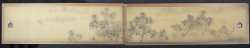 Mountain mist Matsu 1900