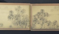 Mountain mist Matsu 1900