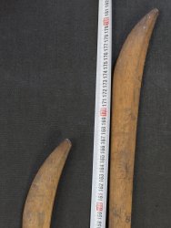 Naginata spear Kendo1900