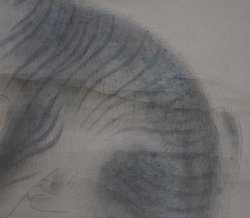 Neko-Tora 1900 paper