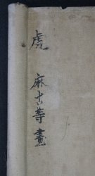 Neko-Tora 1900 paper