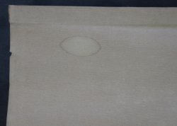 Neko-Tora 1900 paper