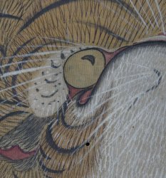 Neko-Tora Gogaian 1700