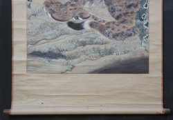 Neko-Tora tiger 1880
