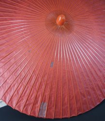 Nodate summer umbrella 1960