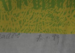 Oda Mayumi venus 1975