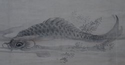 Ojiroyama carp 1700