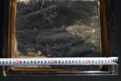 Okyo Buddhisr Sutra 1787 天明