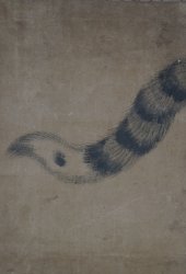 Onishikeisai tiger 1800