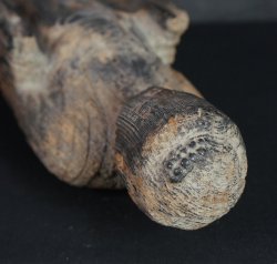 Primitive Japan 1600