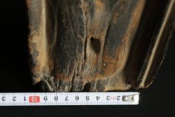 Primitive Japan 1600